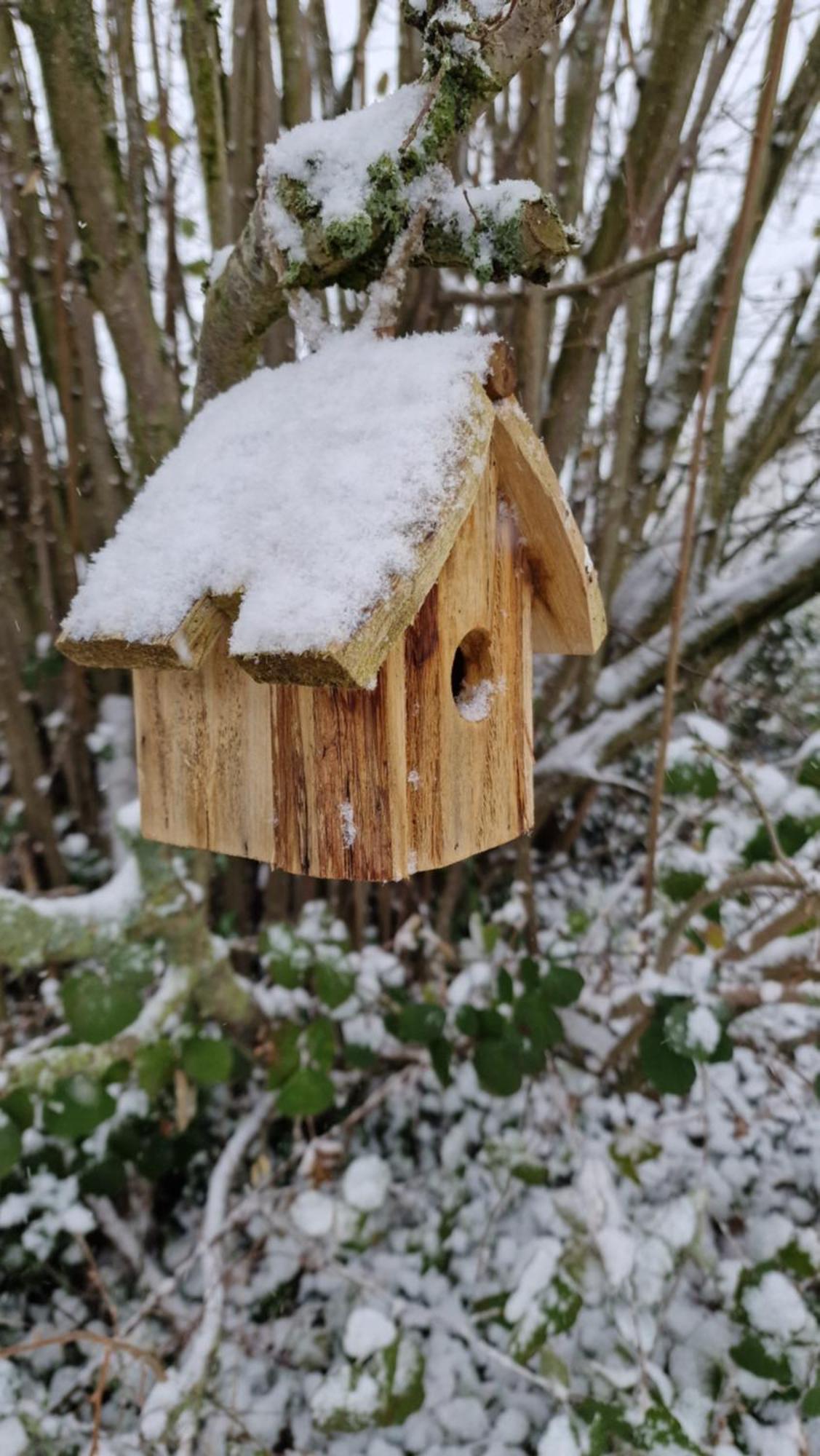 La Bergerie Chambre D'Hotes Leuze-en-Hainaut Exteriör bild